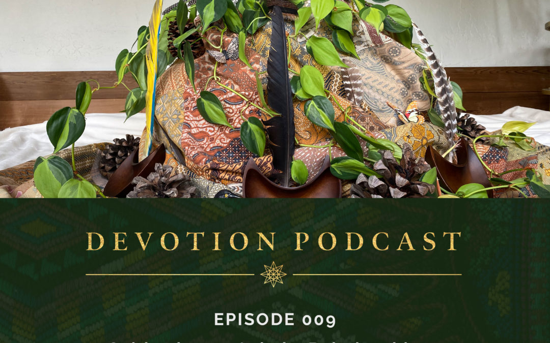 Cultivating an Animist Relationship to Business / Ep. 9